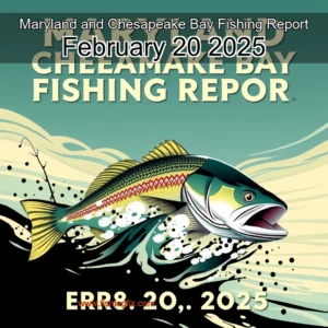 Read more about the article Maryland and Chesapeake Bay Fishing Report  February 20  2025