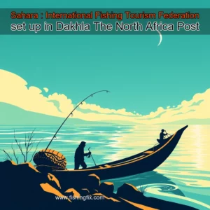 Read more about the article Sahara : International Fishing Tourism Federation set up in Dakhla  The North Africa Post