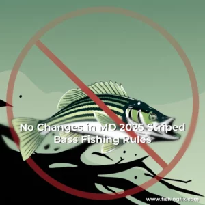 Read more about the article No Changes in MD 2025 Striped Bass Fishing Rules