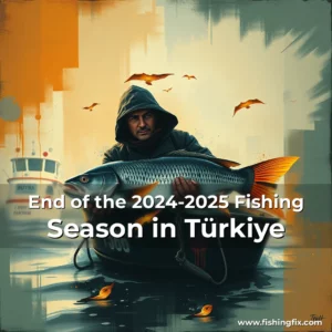 Read more about the article End of the 2024-2025 Fishing Season in Türkiye