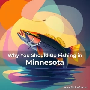 Read more about the article Why You Should Go Fishing in Minnesota